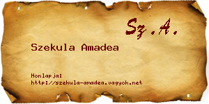 Szekula Amadea névjegykártya